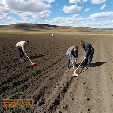 农业农村部部署推进东北黑土地保护工作 农业农村部部署推进东北黑土地保护工作