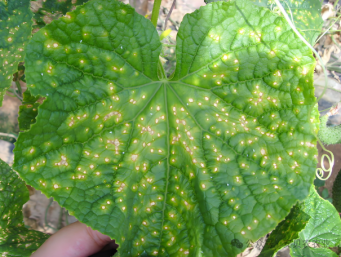 1748774231731989.png image.png