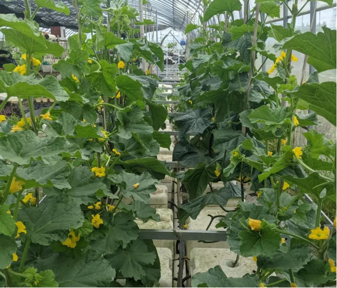 1755605863381325.png fd30d632-2ea8-4575-bb29-0d97f0c5690b.png