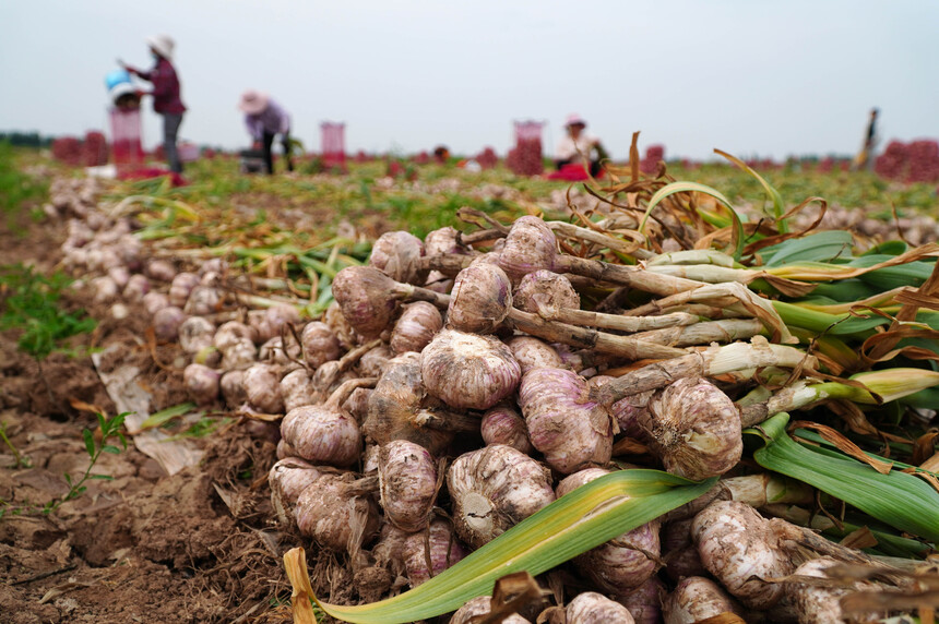 1755864587937213.jpeg 7ccc0fa6194e597fc28412fdbb0cb73c.jpeg