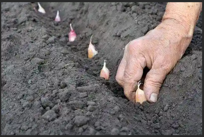 1755864657555938.png 67cfe150-5905-4e3d-a91b-26115c53358a.png