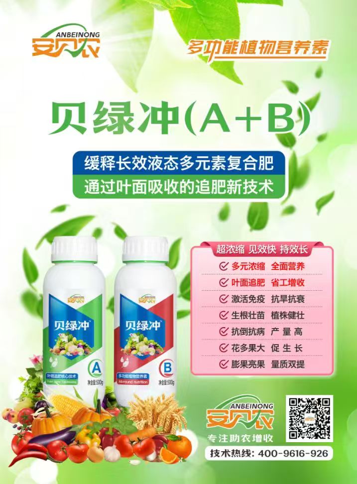 1755864676982111.jpg c5bb1bb9abc1aca5804610a26871c740.jpg