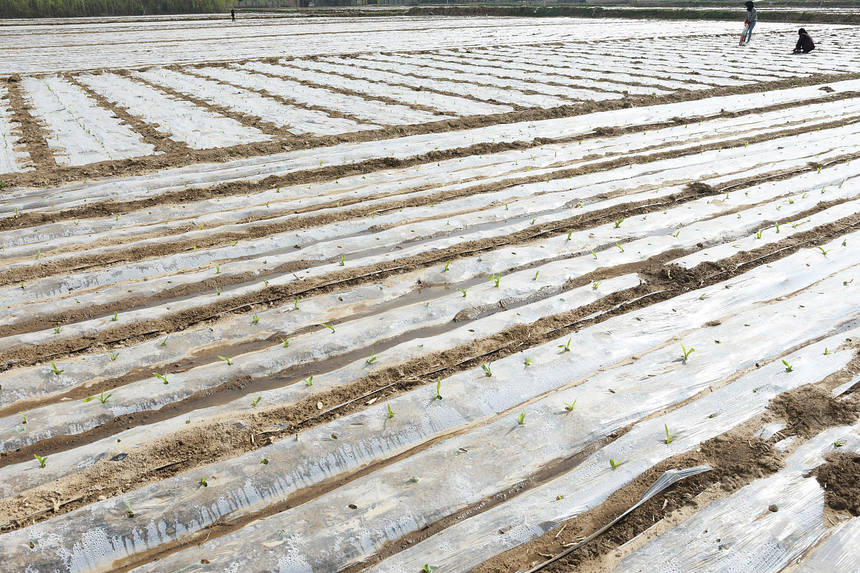 1755864787946335.png c5897aa7-3b5f-4342-abda-e5fdbb49967d.png