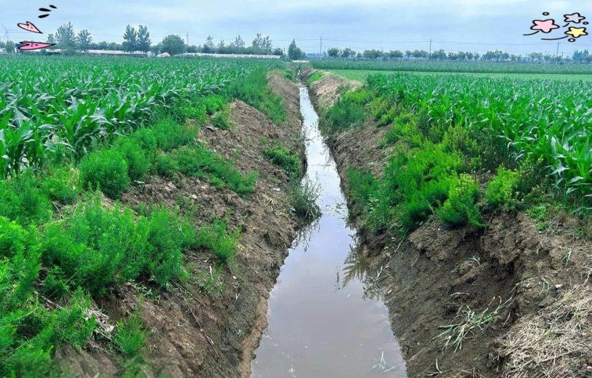 1760787799427118.png 2fc758bc-828f-46cf-8e0e-290aa33ff69c.png